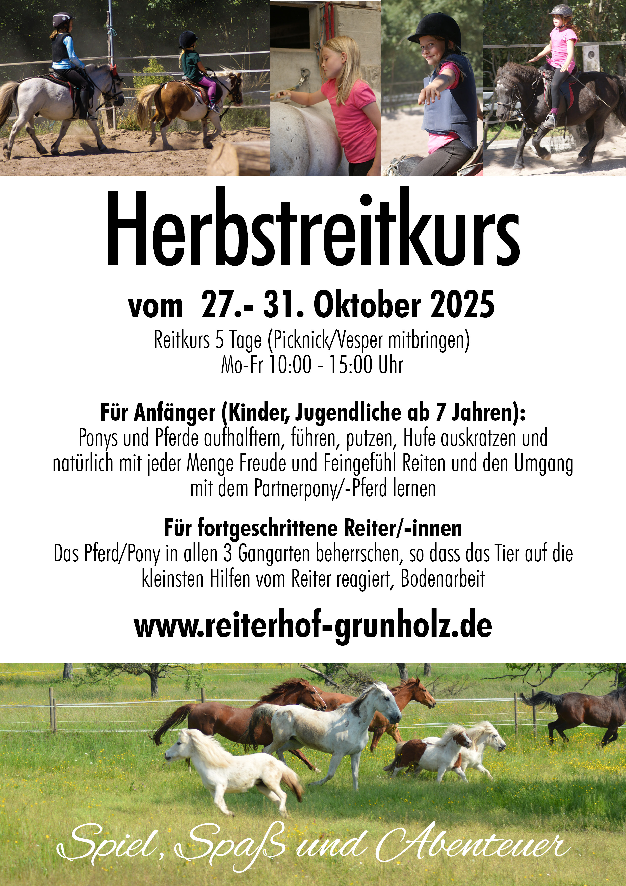 Herbstreitkurs 27.-31.10.2025