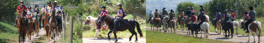 Wanderritte/Ausritte